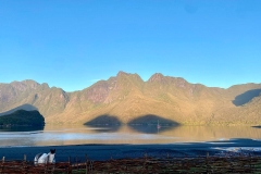 IMG-20250318-WA0005