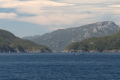 P3183215