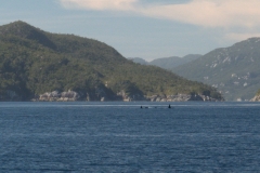 P3183219
