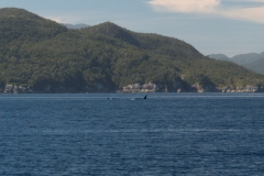 P3183221