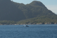 P3183237