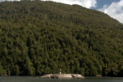 P3213277