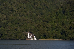 P3213278