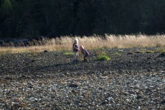 P3233289