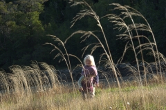 P3233310