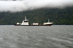 P4114549