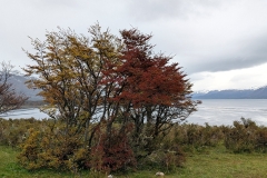 PXL_20260428_164635548