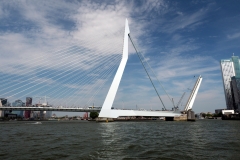 Extra für uns öffnet die Erasmusbrücke - eines der neuen Wahrzeichens Rotterdams