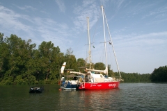 Die "aracanga" im Jurong Creek