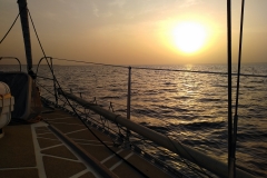 IMG_20190222_074701-001