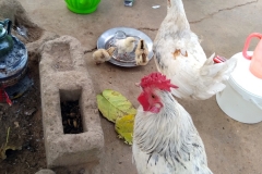 IMG_20190227_115533-001