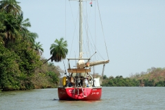 Auf dem Weg zurück zur Küste.