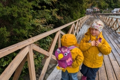 PXL_20251214_151358553.MP_