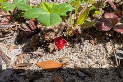 PXL_20251215_200450806