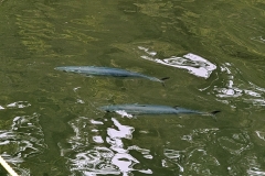 PXL_20251220_235747341