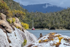 PXL_20251223_134242118