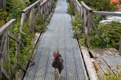 PXL_20251228_152745474