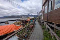 PXL_20251228_152941640