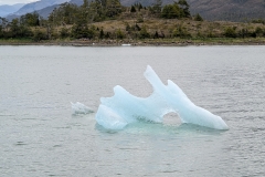 PXL_20251231_191819286