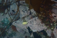 P8070082