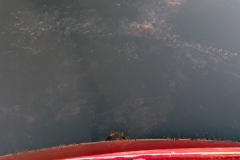 PXL_20260508_130112093