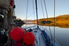 PXL_20260508_194019682