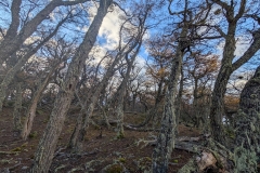PXL_20260514_181247119