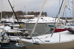 PXL_20260630_141340978.PANO_