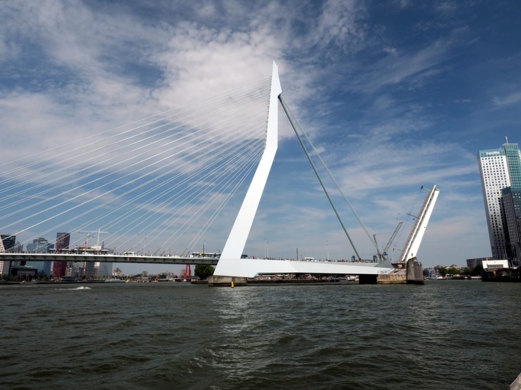 Die Erasmusbrücke ist ein Wahrzeichen Rotterdams