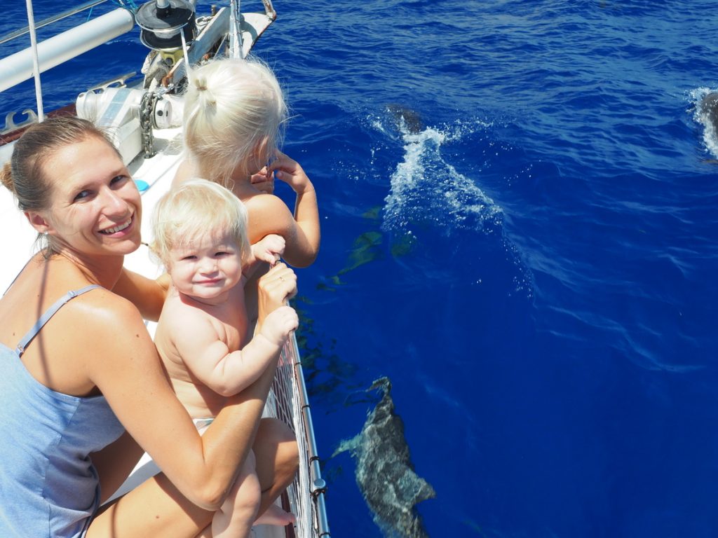 Delfine begleiten uns auf dem Weg nach Cayman