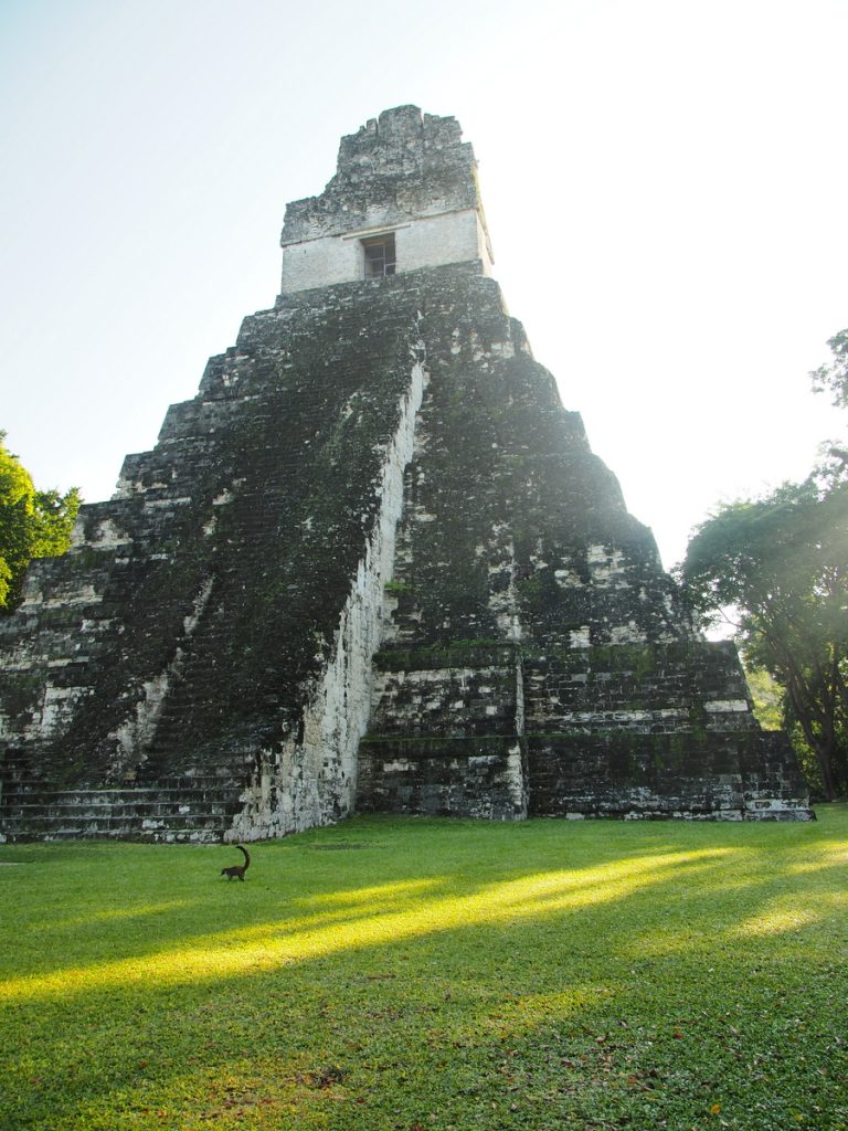 Stufenpyramide in Tikal