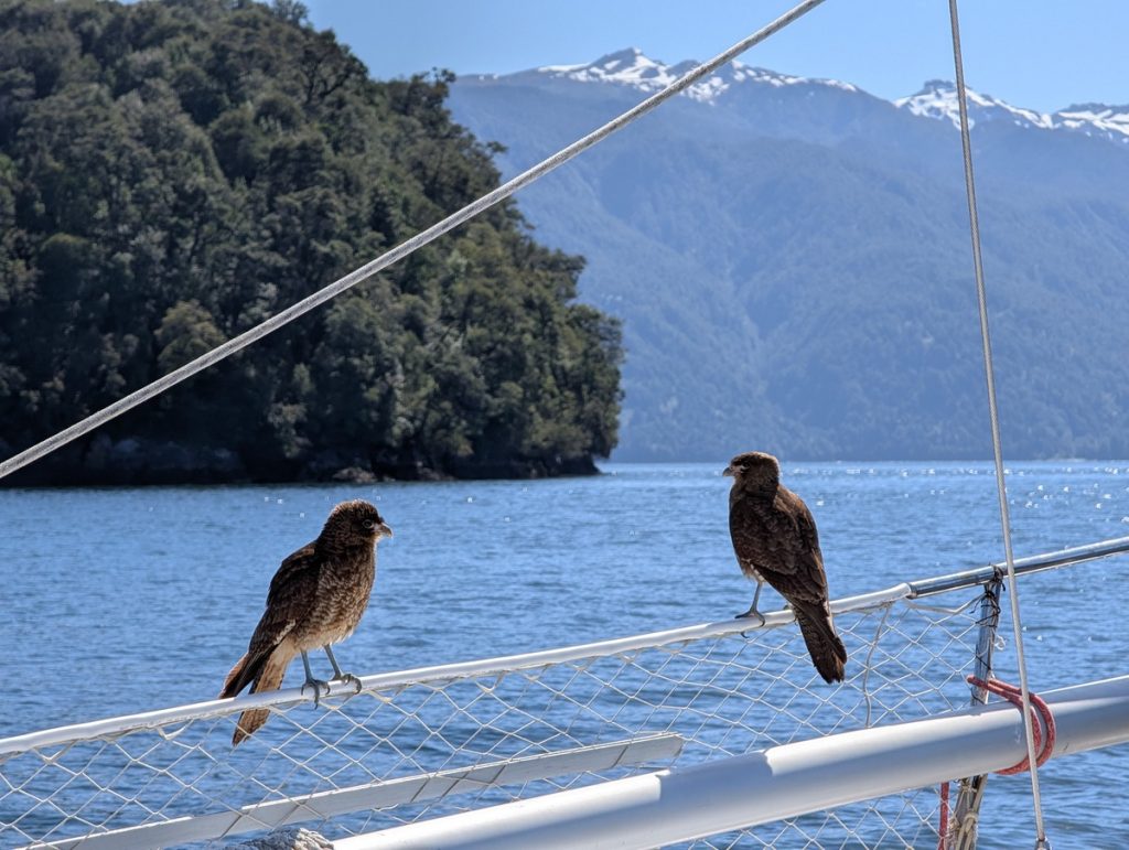Unterwegs im Aysen Fjord